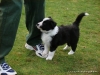 comp_dsc02733