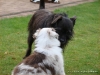 comp_dsc02740