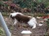 comp_dsc02743