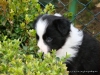 comp_dsc02749