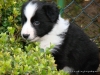 comp_dsc02751