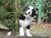 comp_dsc02756