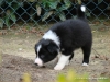 comp_dsc02762