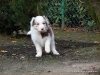 comp_dsc02764