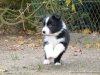 comp_dsc02766