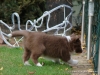 comp_dsc02768