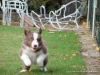 comp_dsc02770