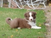 comp_dsc02774