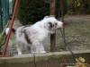 comp_dsc02778