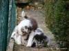 comp_dsc02782