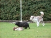 comp_dsc02790