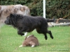 comp_dsc02792