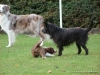 comp_dsc02793