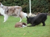 comp_dsc02794