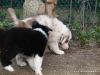 comp_dsc02797