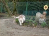 comp_dsc02800
