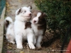 comp_dsc02802