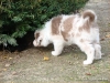 comp_dsc02818