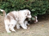comp_dsc02821