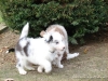 comp_dsc02825
