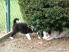 comp_dsc02828