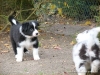 comp_dsc02831