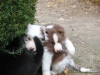 comp_dsc02838