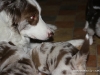 cimg_4284