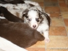 cimg_4295