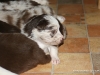 cimg_4296