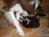 cimg_4309