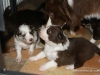 cimg_4317