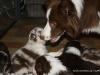 cimg_4319