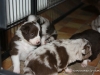 cimg_4324