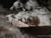 cimg_4358