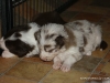 cimg_4371