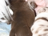 cimg_6824