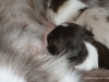 cimg_6852