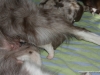 cimg_6878