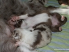cimg_6881