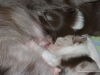 cimg_6883
