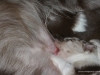 cimg_6884