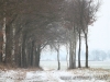 cIMG_0379