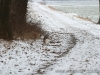 cIMG_0418