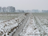 cIMG_0514