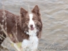 cIMG_0546
