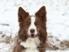 cIMG_0566