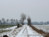 cIMG_0580
