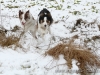 cIMG_0603