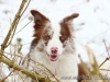 cIMG_0654
